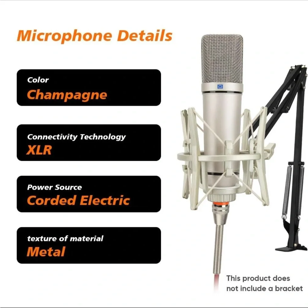 Professional Silver Microphone with Shock Mount